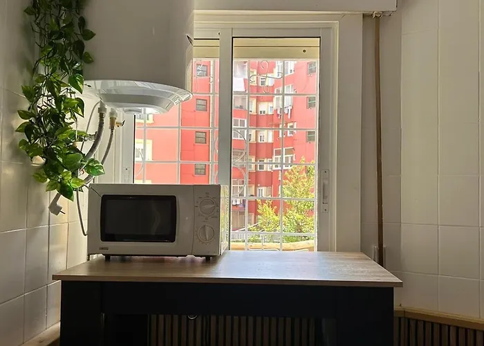 Plaza America - Feel The Vibe Daire *