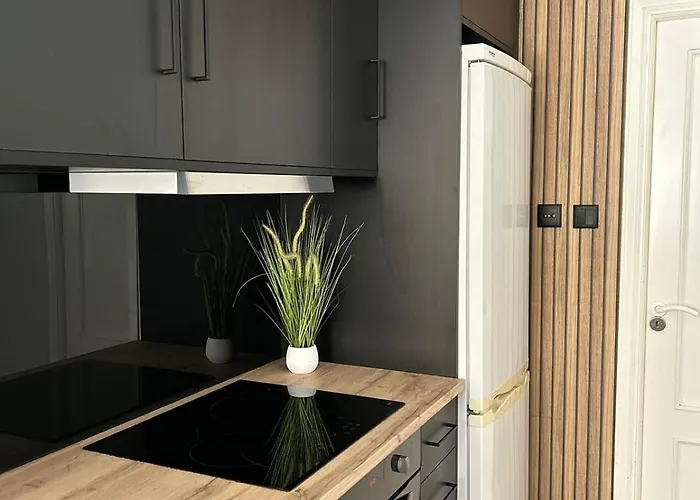 Plaza America - Feel The Vibe Daire *